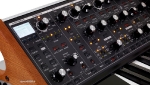 moog-sub-37-7