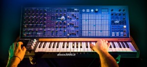 matrixbrute 1